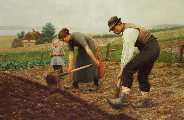 Farmers Working In The Field, A Boy Is Holding A Carrot Oil Painting by Povl Steffensen