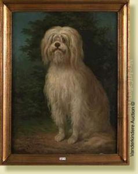 Portrait De Chien Oil Painting by Joseph Edouard Stevens