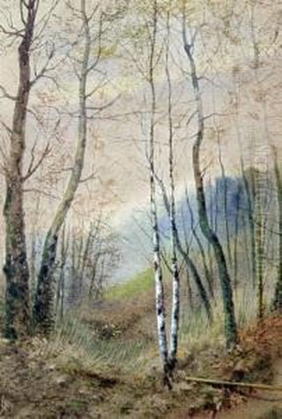 Birch Trees And Pond Oil Painting by James Lawson Stewart