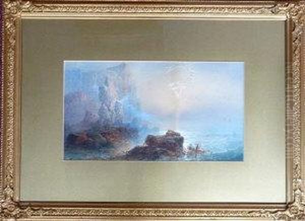 Sea Birds Nesting On Cliffs Oil Painting by Harry James Sticks