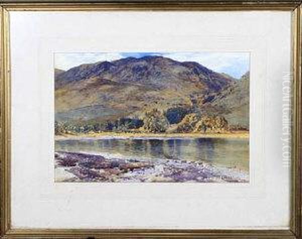 A View In The Lake District Oil Painting by Harry James Sticks