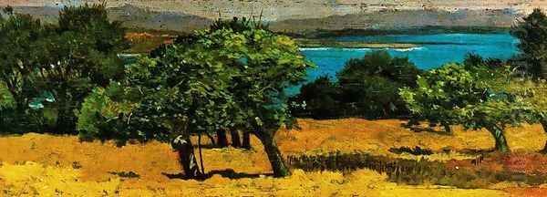 Canpagna a Castiglioncello Oil Painting by Giovanni Fattori