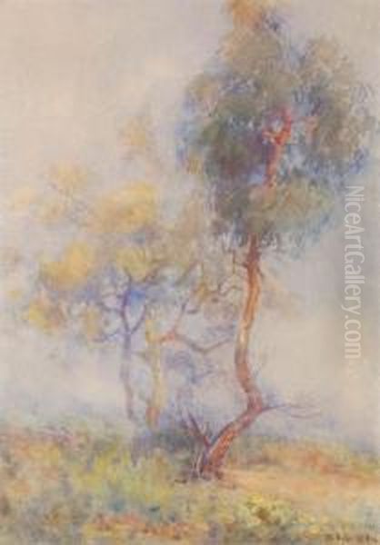 Trees Oil Painting by Margaret Olrog Stoddart