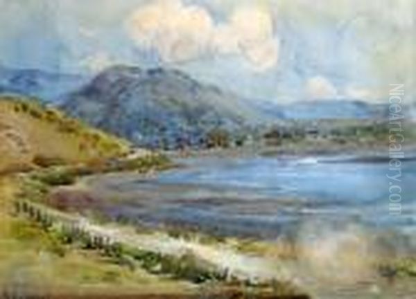 Road To Akaroa Oil Painting by Margaret Olrog Stoddart