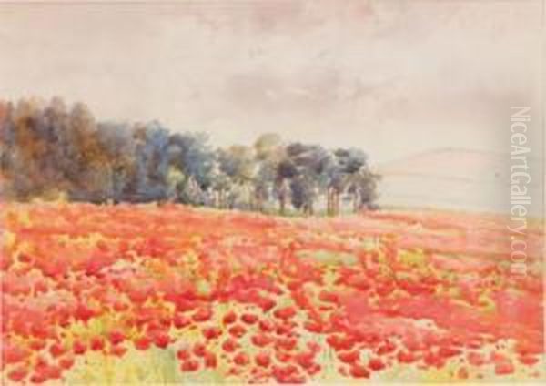 Poppy Field Oil Painting by Margaret Olrog Stoddart