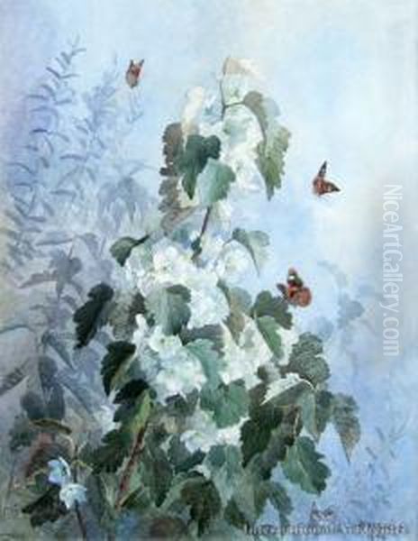 Lacebark Oil Painting by Margaret Olrog Stoddart