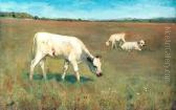 White Calves In A Meadow Oil Painting by Adrian Scott Stokes