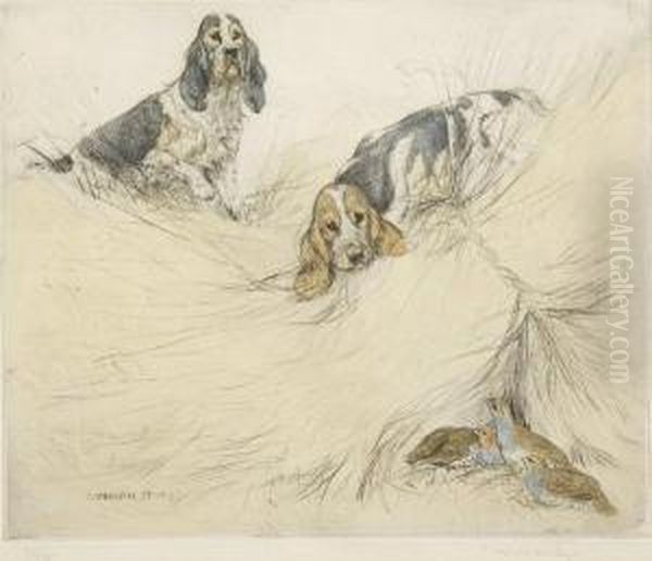 Spaniels Observing A Nest Of Partridge Oil Painting by George Vernon Stokes