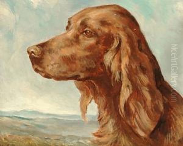 Portrait Of A Red Setter Oil Painting by George Vernon Stokes