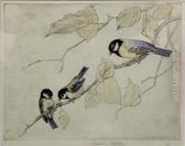 Coal Tit And Great Tit, Hand Coloured Etching Oil Painting by George Vernon Stokes