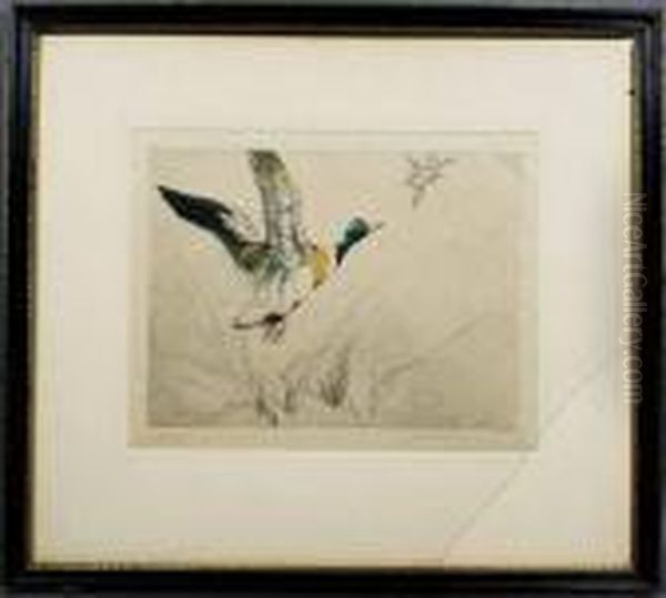 Mallard Duck In Flight Oil Painting by George Vernon Stokes