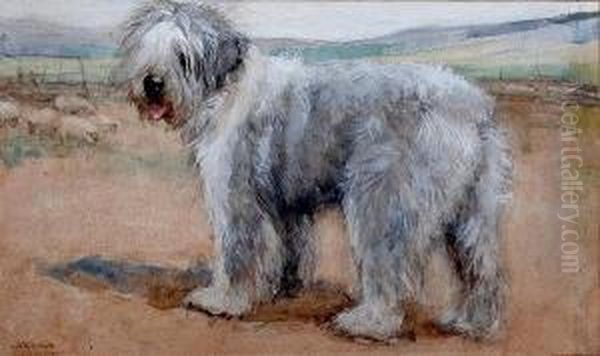 Old English Sheepdog Oil Painting by George Vernon Stokes