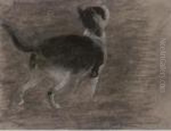 Black And White Cat Oil Painting by Edward William Stott