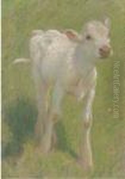 Study Of A Calf In A Summer Meadow Oil Painting by Edward William Stott