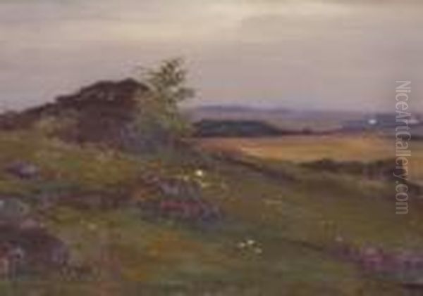 Weite Landschaft Mit
 Felsblocken. Oil Painting by Josef Straka