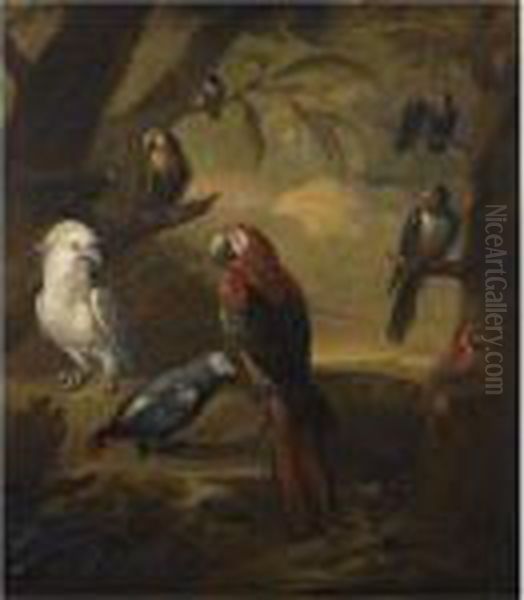 Exotic Birds In An Extensive Woodland Landscape Oil Painting by Tobias Stranover