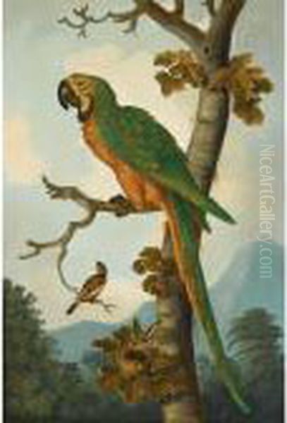 Still Life With A Parrot Perched On A Branch Oil Painting by Tobias Stranover