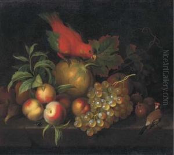 A Melon, Peaches, Grapes, 
Medlars And Other Fruit With A Parrot Anda Goldfinch On A Ledge Oil Painting by Tobias Stranover