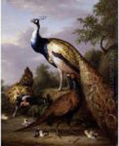 A Peacock,hen And Cock Pheasant In A Landscape Oil Painting by Tobias Stranover