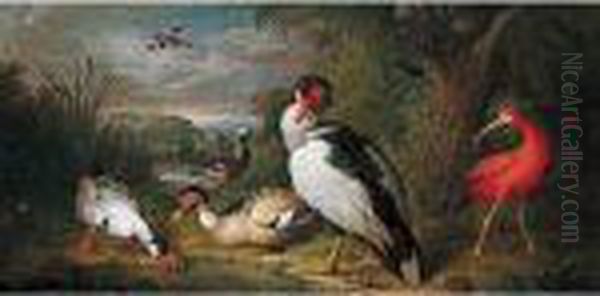 A Muscovy Duck, A Red Ibis And Other Fowl In A Landscape Oil Painting by Tobias Stranover