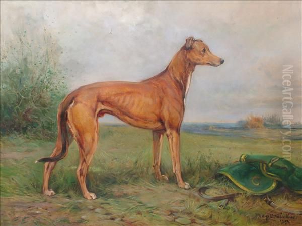 Studyof A Greyhound Oil Painting by Philip Eustace Stretton