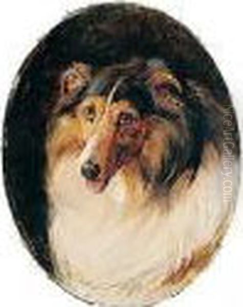 A Favourite Collie Dog by Philip Eustace Stretton