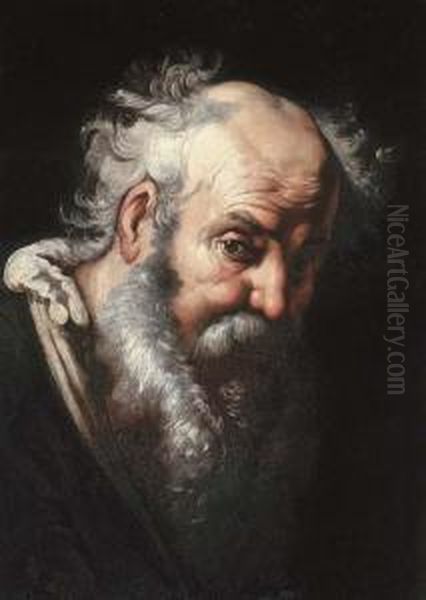 Head Of A Bearded Man Oil Painting by Bernardo Strozzi