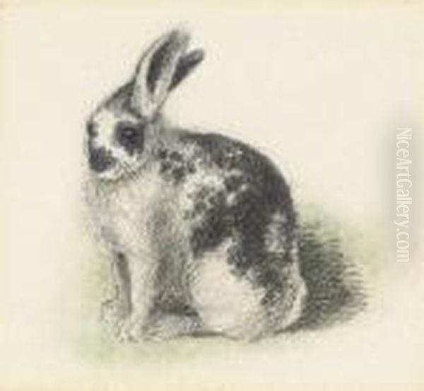 A Piebald Rabbit Oil Painting by William Strutt