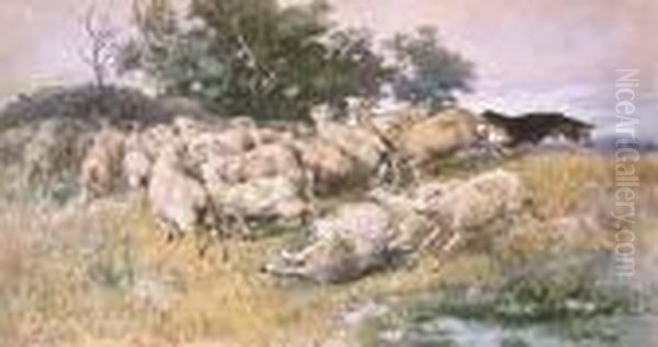 Rounding-up-sheep Oil Painting by William Strutt