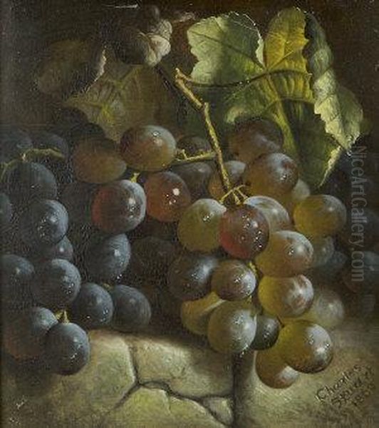 Still Life With Grapes Oil Painting by Charles Stuart