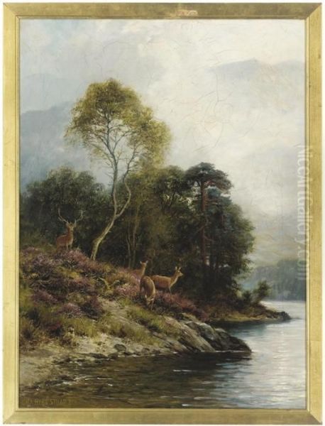 Red Deer Beside A River Oil Painting by Charles Stuart