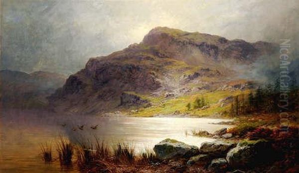 Duck Flying Over A Highland Loch Oil Painting by Charles Stuart