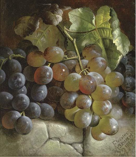 Grapes On A Stone Step Oil Painting by Charles Stuart