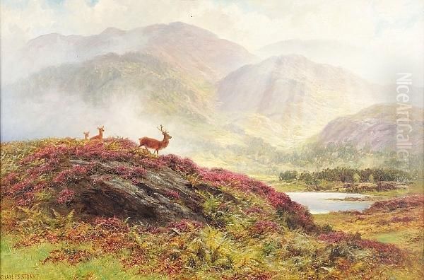 Deer By A Loch Oil Painting by Charles Stuart