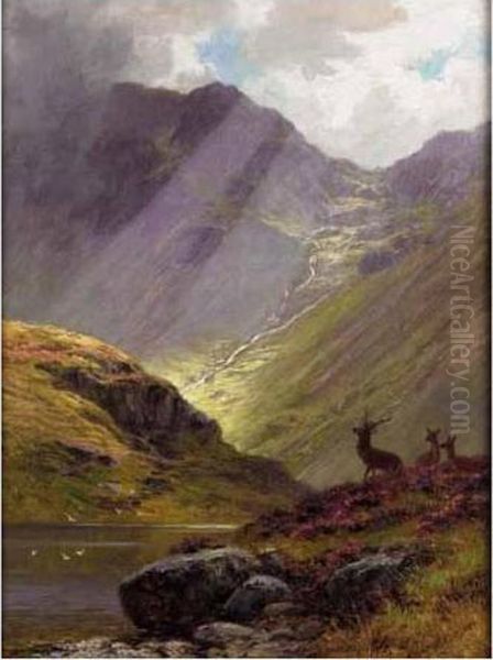 Sunlight In The Glen; The Vantage Oil Painting by Charles Stuart