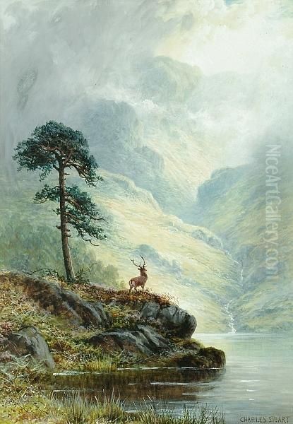 Alone In The Highlands Oil Painting by Charles Stuart