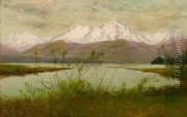 Olympic Range From Skokomis River,washington Oil Painting by James Everett Stuart