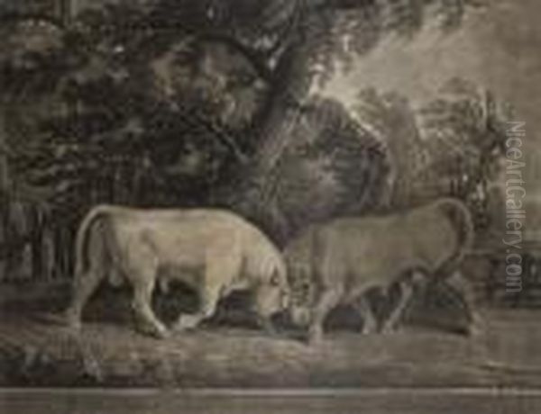 Bulls Fighting Oil Painting by George Stubbs