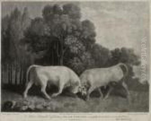 Bulls Fighting Oil Painting by George Stubbs