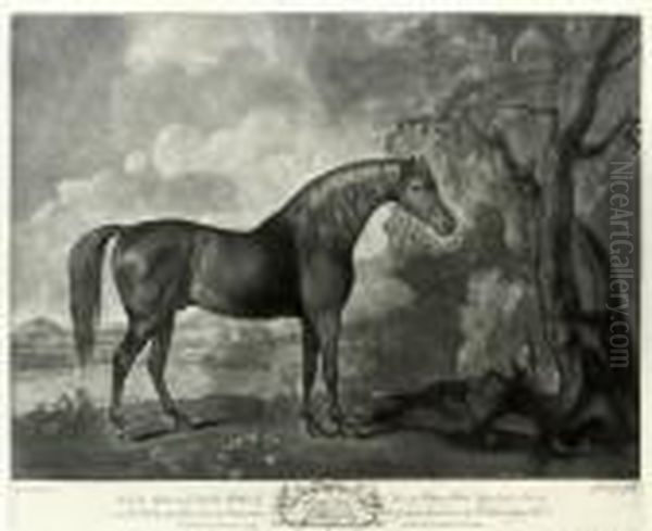 Brown Horse Mask Oil Painting by George Stubbs