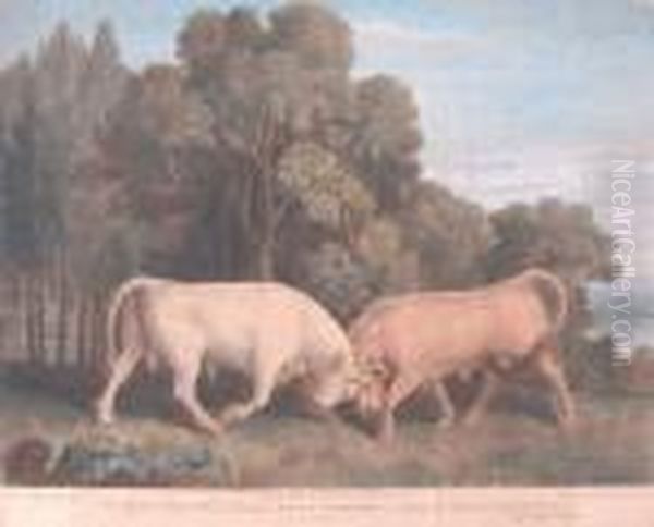 Bulls Fighiting Oil Painting by George Stubbs