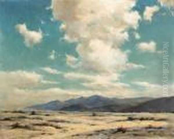 Billowing Desert Clouds Oil Painting by Dedrick Brandes Stuber