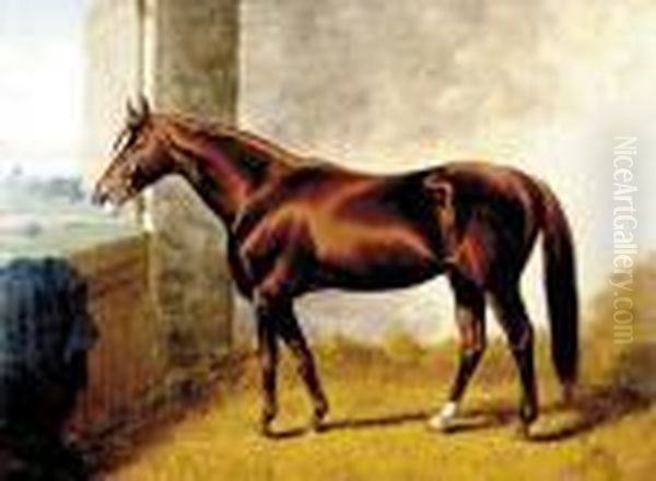 Bay Horse In Stall Oil Painting by Henry Stull