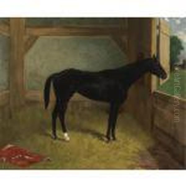 Black Horse Oil Painting by Henry Stull