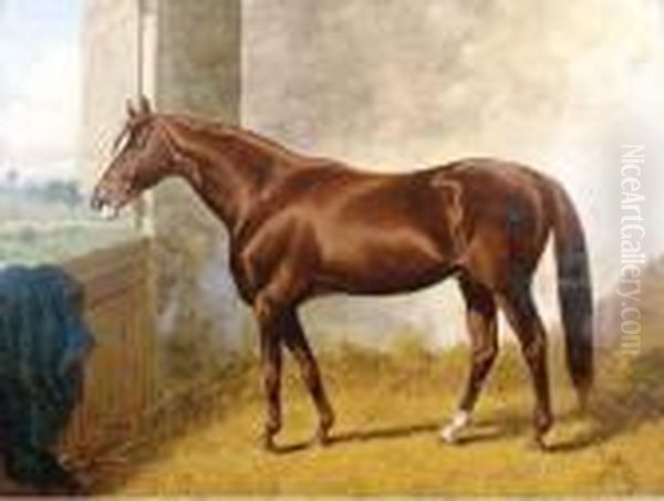 A Bay Horse In A Stall Oil Painting by Henry Stull