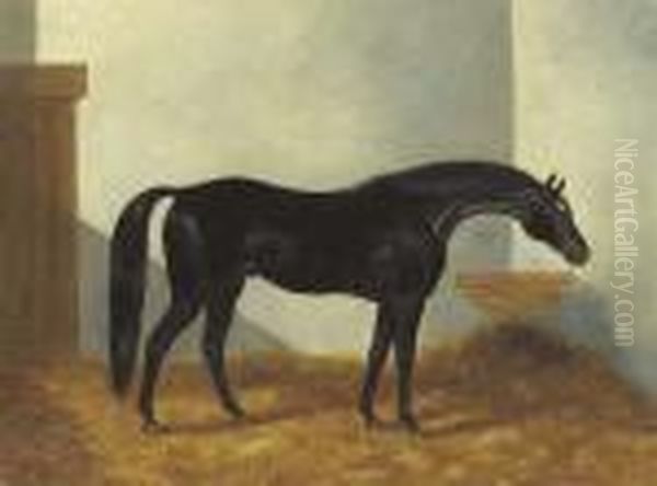 Virgil, A Black Stallion In A Stable Oil Painting by Henry Stull