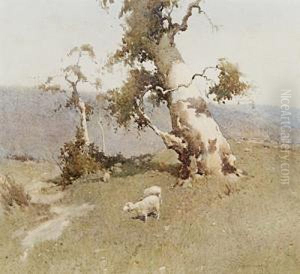 The Leaning Gum Oil Painting by Reginald Ward Sturgess