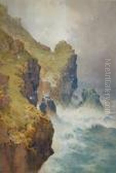 St Agnes Coast, North Cornwall Oil Painting by Arthur Suker