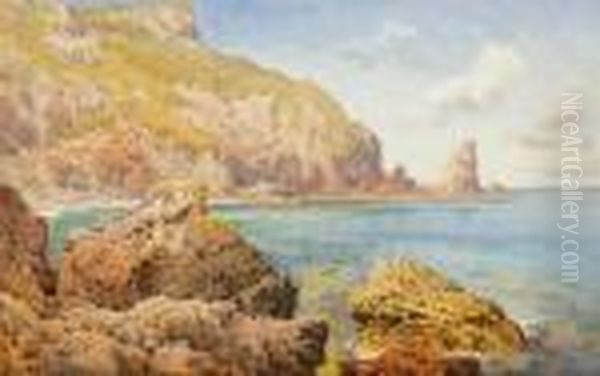 Limestone Cliff, Near Torquay, Devon Oil Painting by Arthur Suker