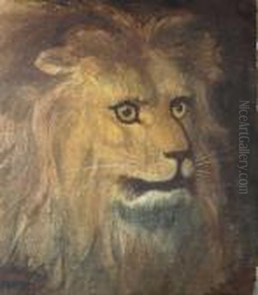 Tete De Lion Oil Painting by Gustave Surand